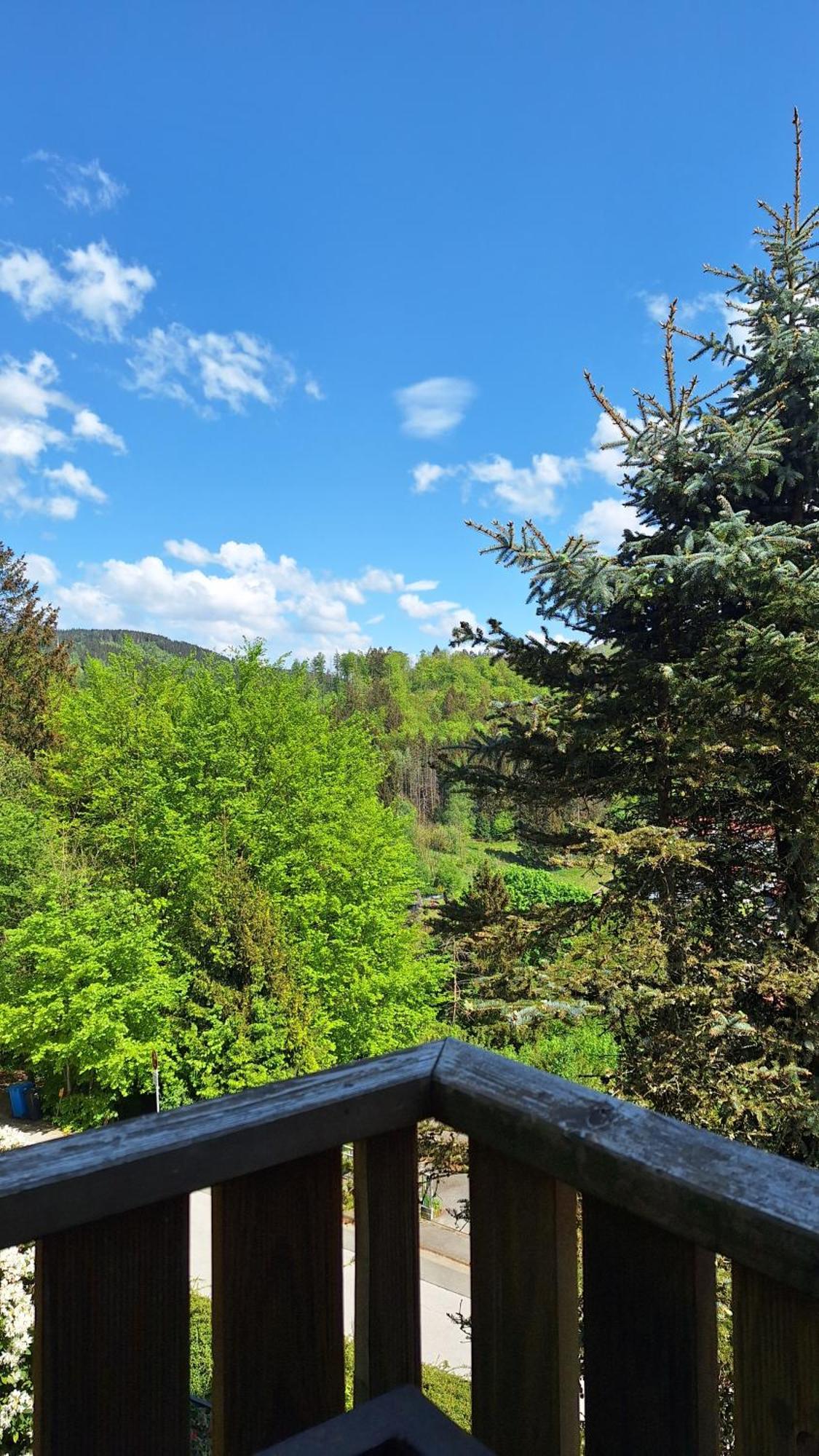 Апартаменты Haus Westharz Goslar Бад-Грунд Экстерьер фото